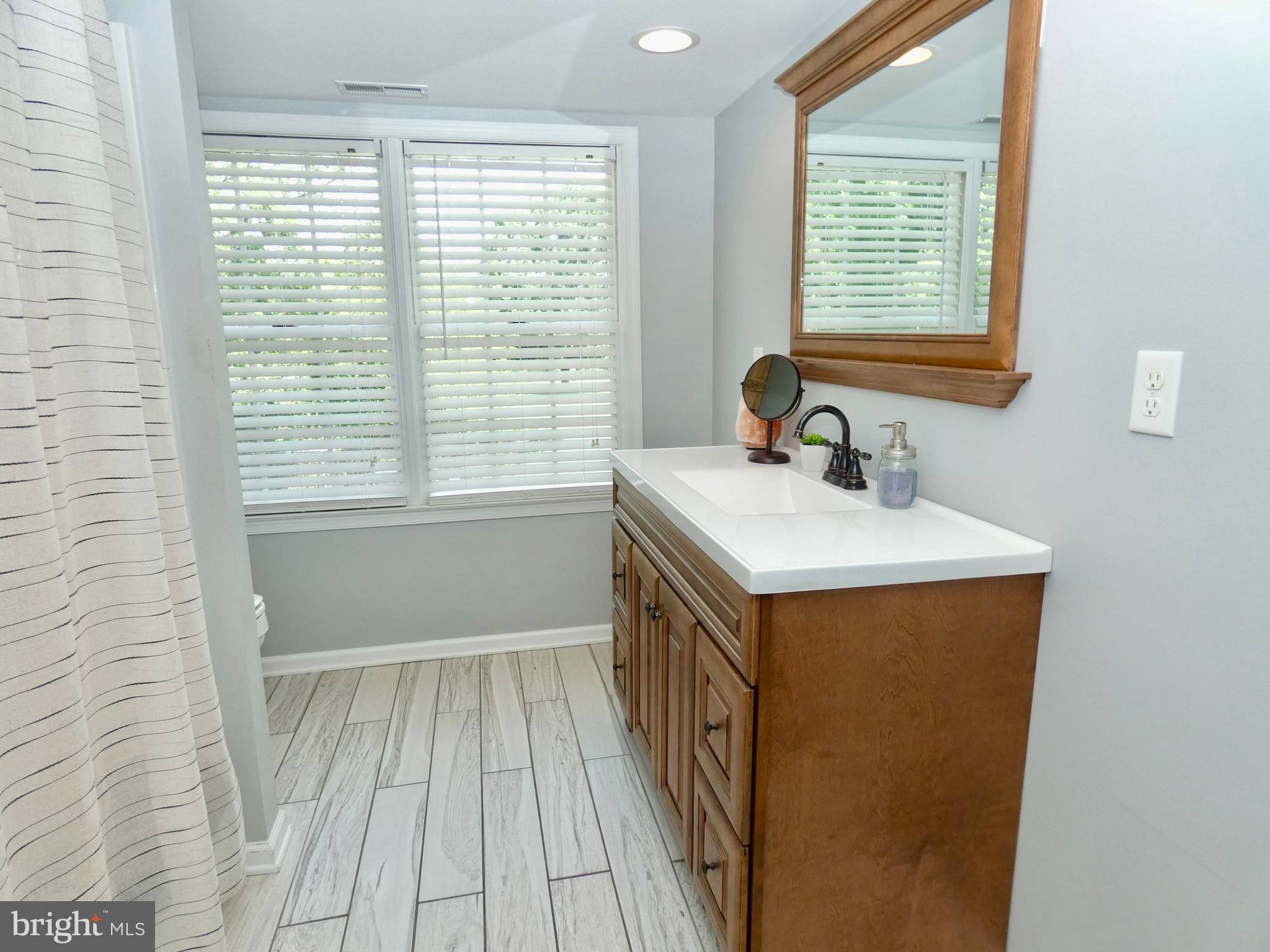 23840 Bridgetown Road Henderson, MD 21640 - Photo 9 of 54 Master Bathroom