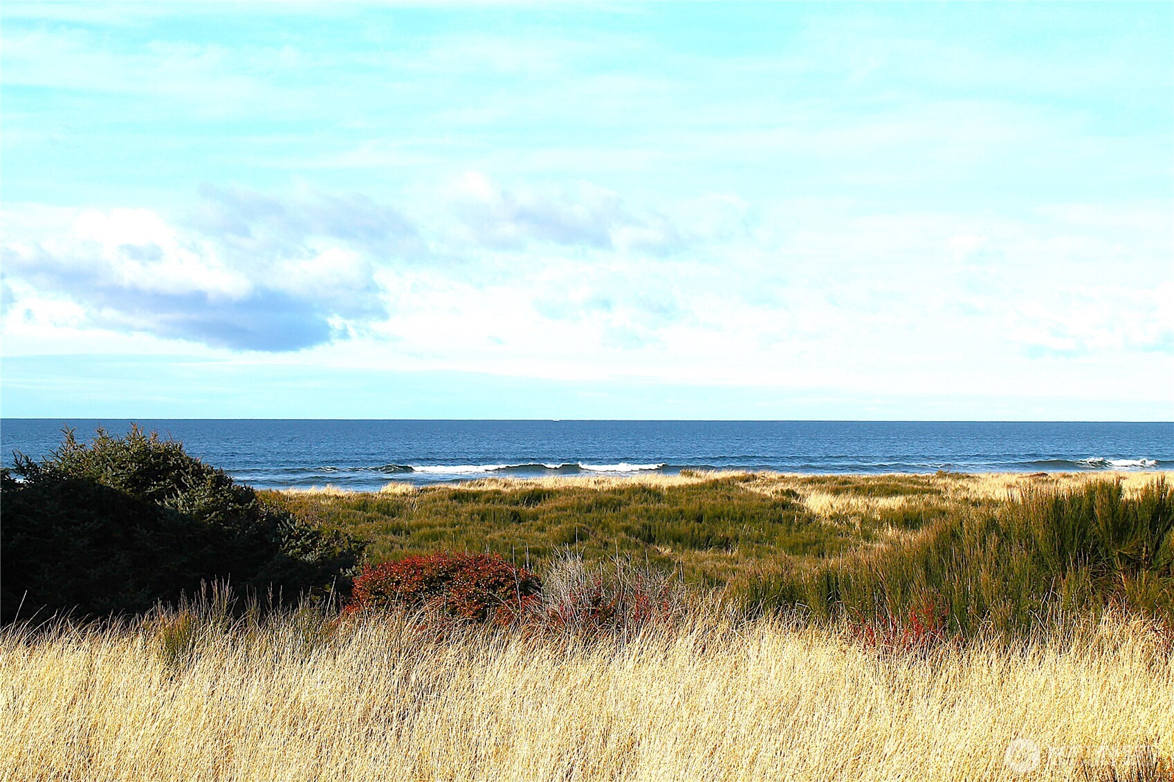 0 Sunset Beach Westport, WA 98595 - Photo 7 of 7