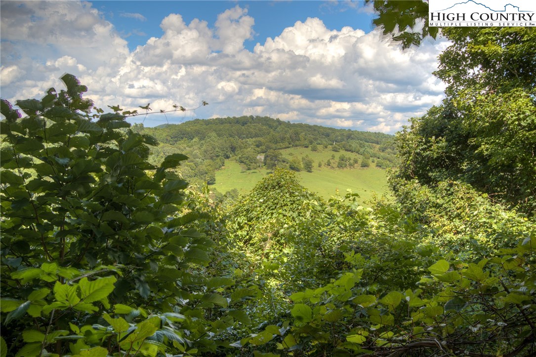 640 Tanner Road Boone, NC 28607 - Photo 7 of 28 Gallery Image 7