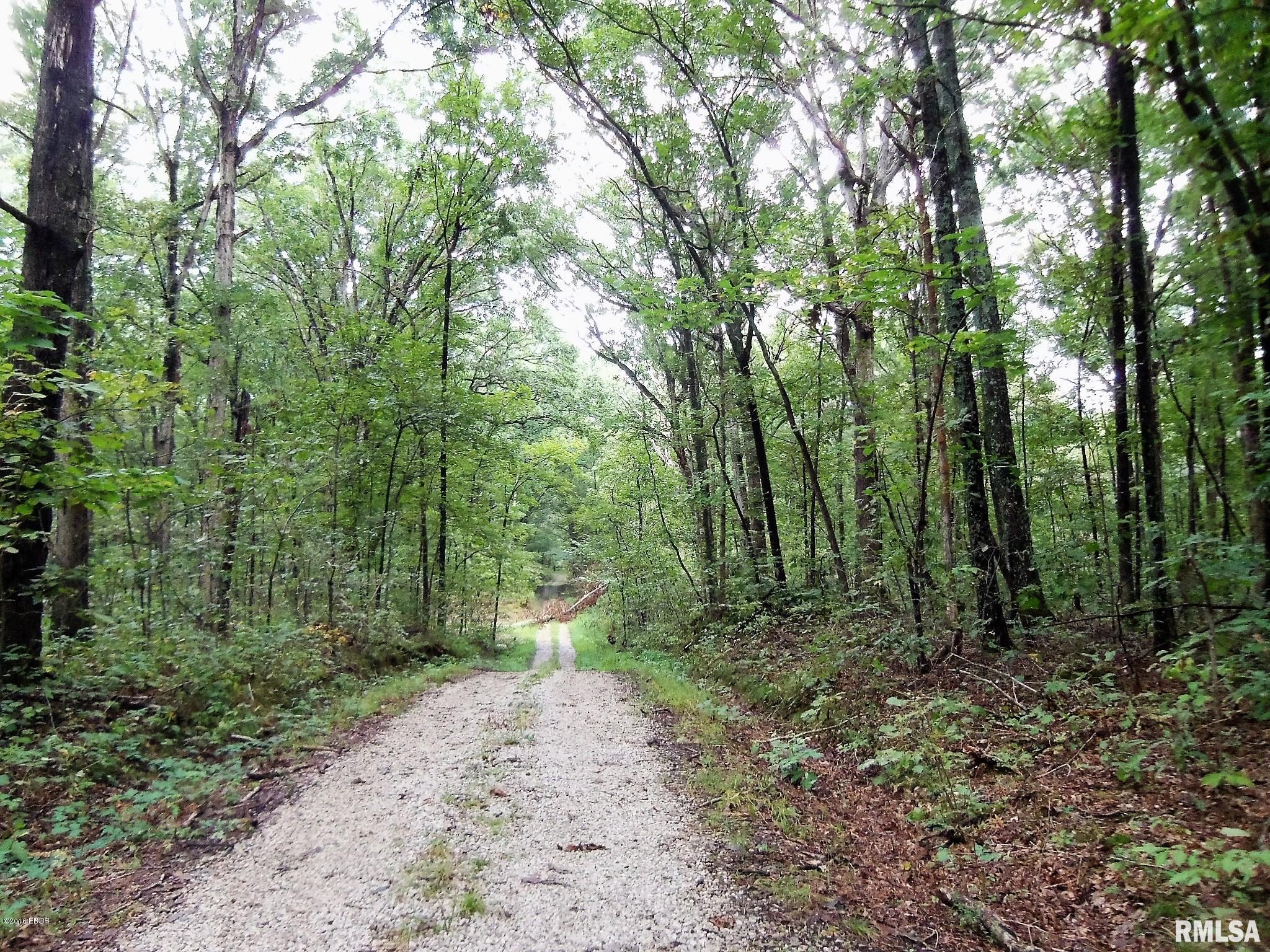 2100-block North Sinclair Road Kinmundy, IL 62854 - Photo 2 of 5