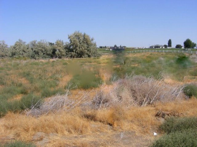 -xxx Birch Road Pasco, WA 99301 - Photo 1 of 2