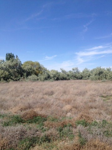 -xxx Birch Road Pasco, WA 99301 - Photo 2 of 2