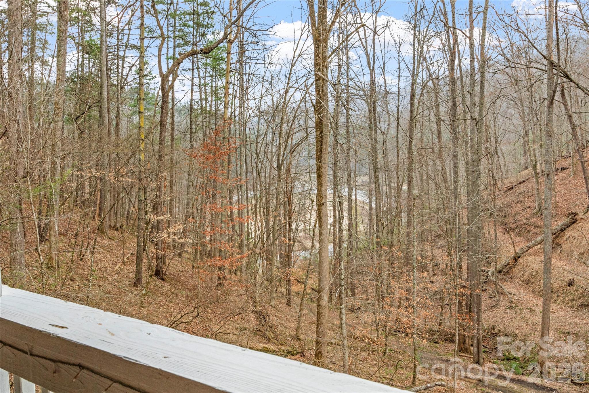 2701 Roses Branch Road Bakersville, NC 28705 - Photo 29 of 41
