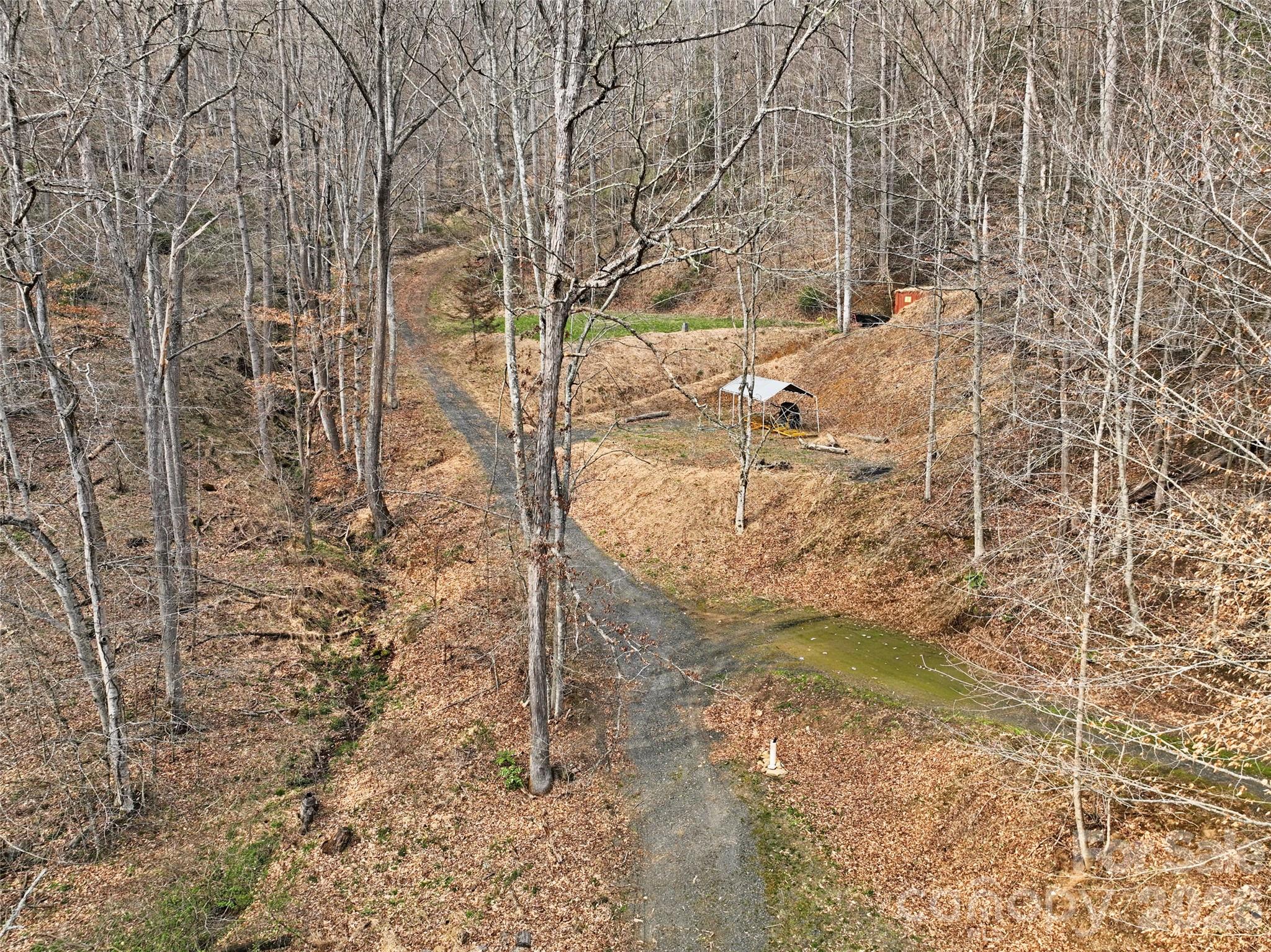 2701 Roses Branch Road Bakersville, NC 28705 - Photo 31 of 41