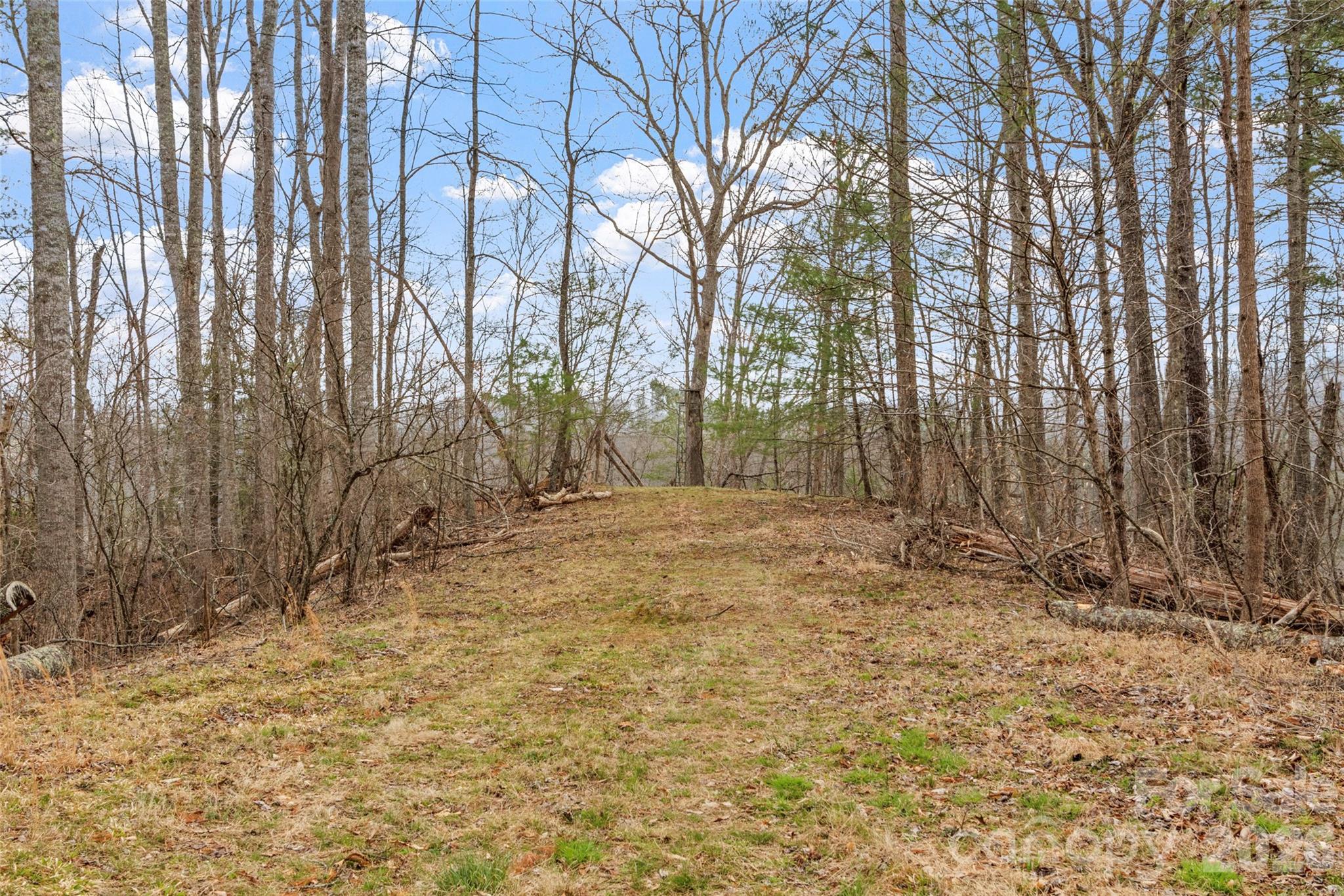 2701 Roses Branch Road Bakersville, NC 28705 - Photo 33 of 41