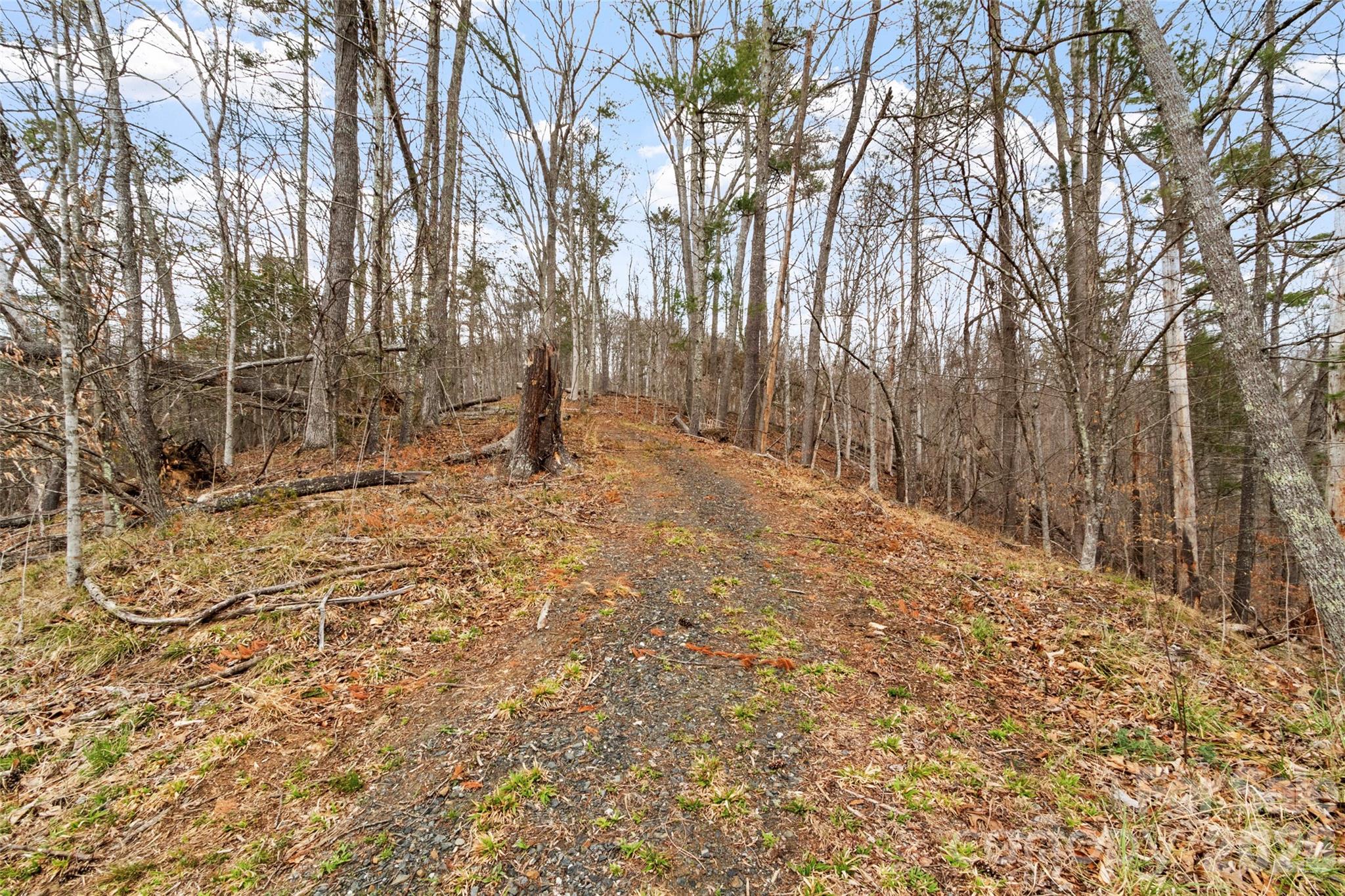 2701 Roses Branch Road Bakersville, NC 28705 - Photo 34 of 41