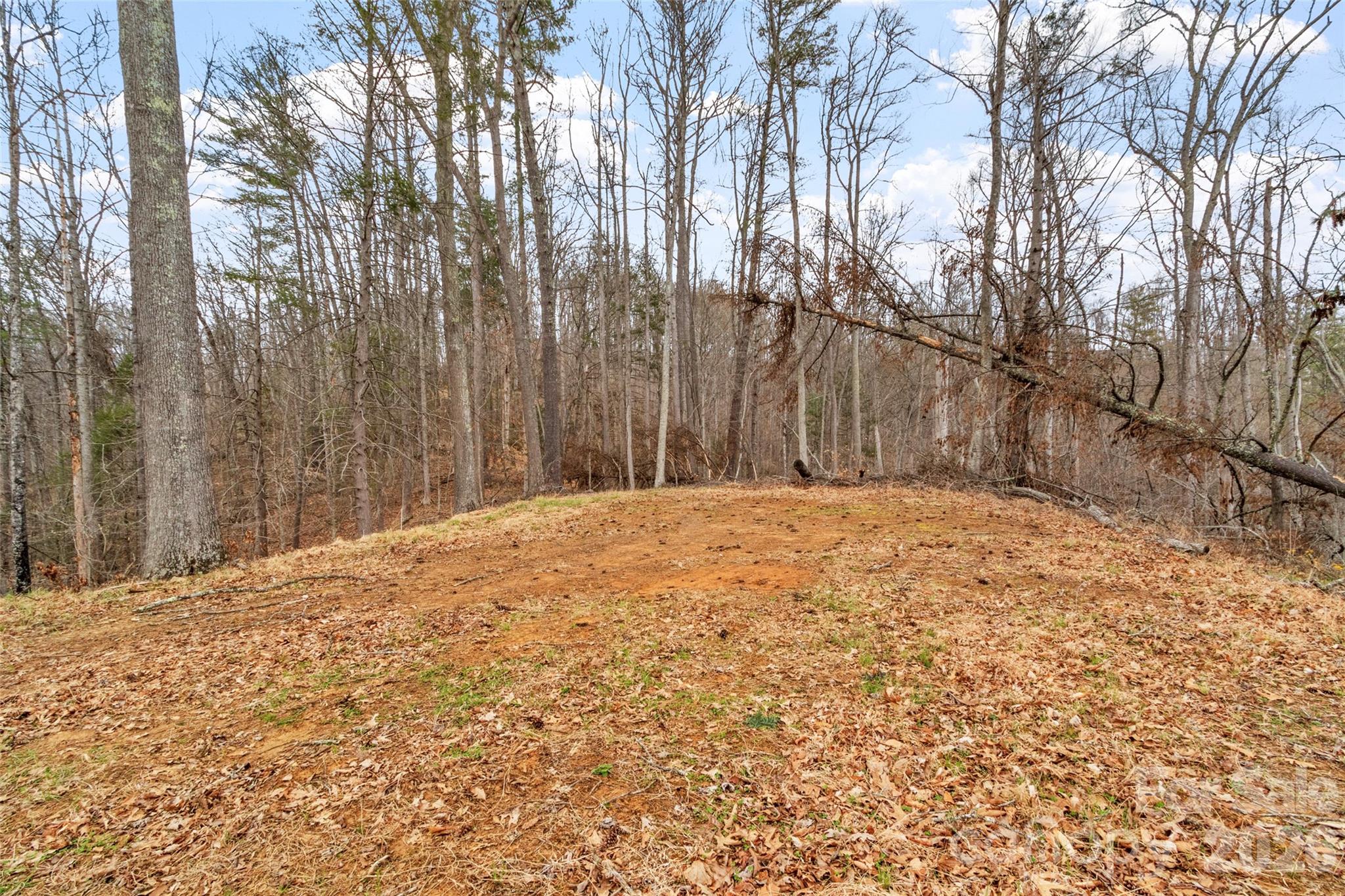 2701 Roses Branch Road Bakersville, NC 28705 - Photo 35 of 41