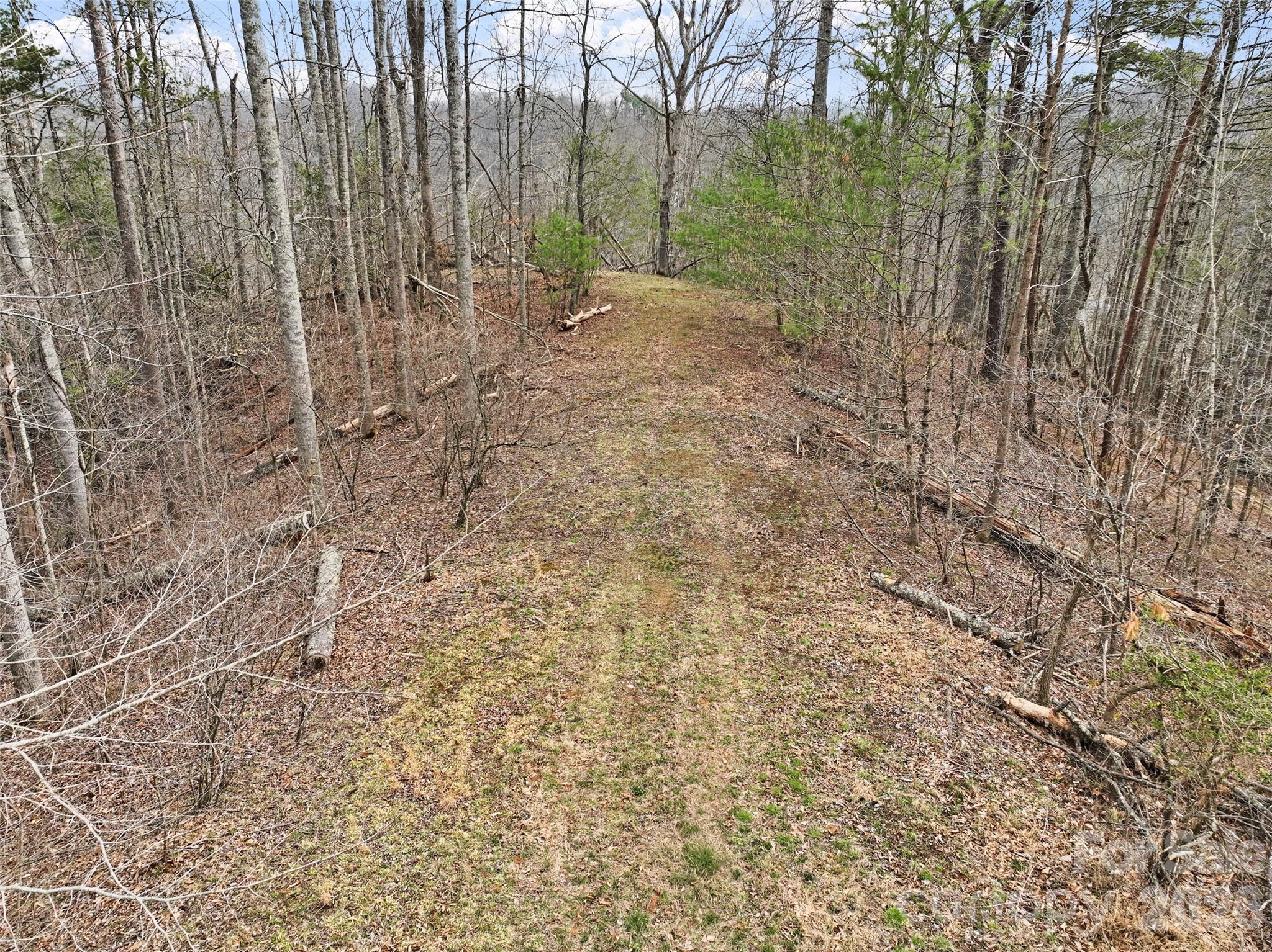 2701 Roses Branch Road Bakersville, NC 28705 - Photo 37 of 41