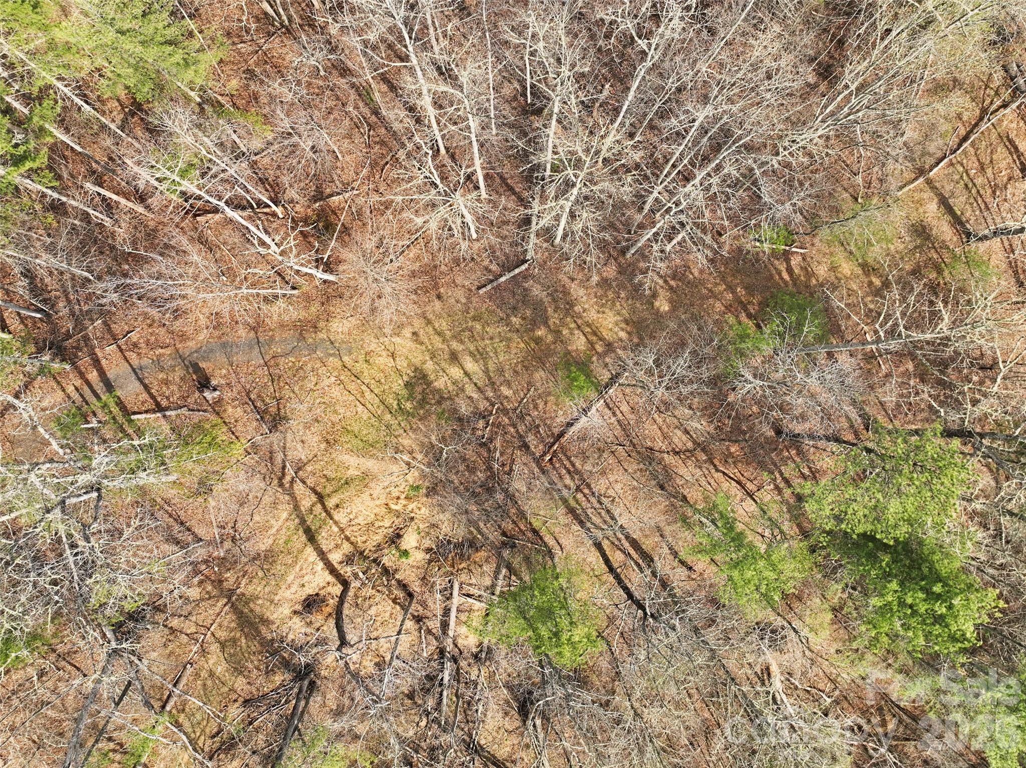 2701 Roses Branch Road Bakersville, NC 28705 - Photo 38 of 41