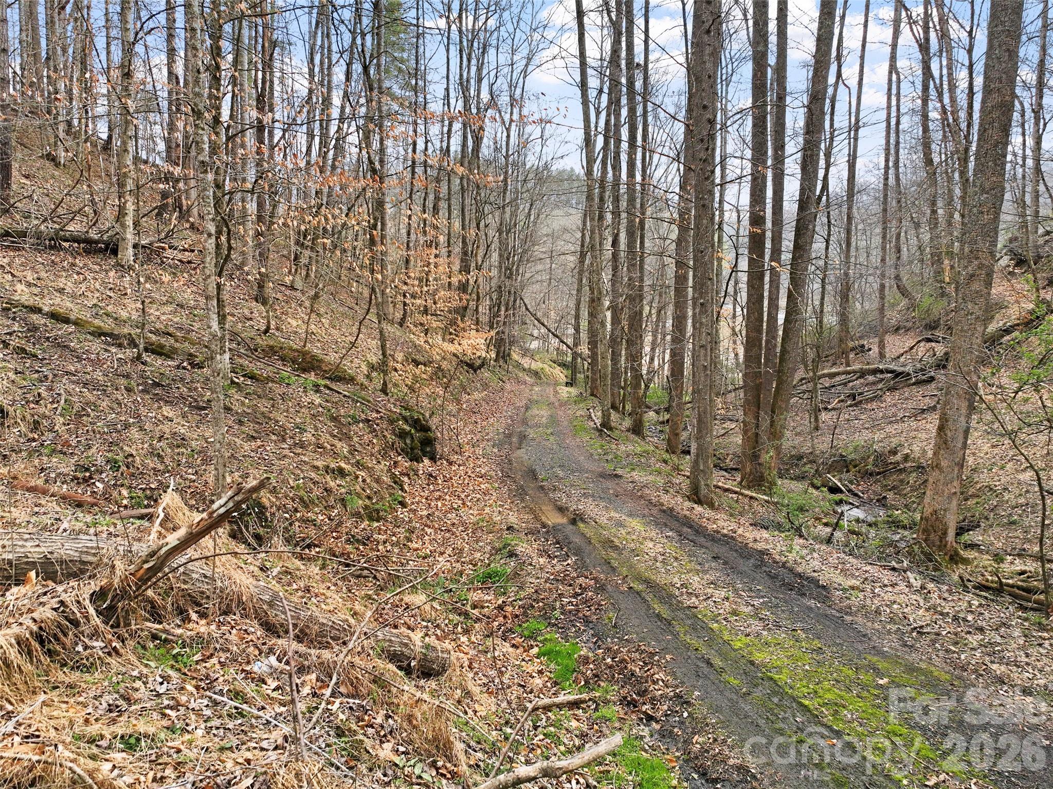 2701 Roses Branch Road Bakersville, NC 28705 - Photo 39 of 41