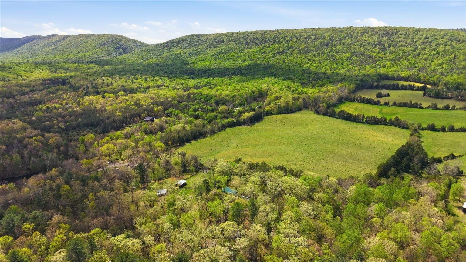 482 Boyer Road Fort Valley, VA 22652 - Photo 51 of 58 Gallery Image 51