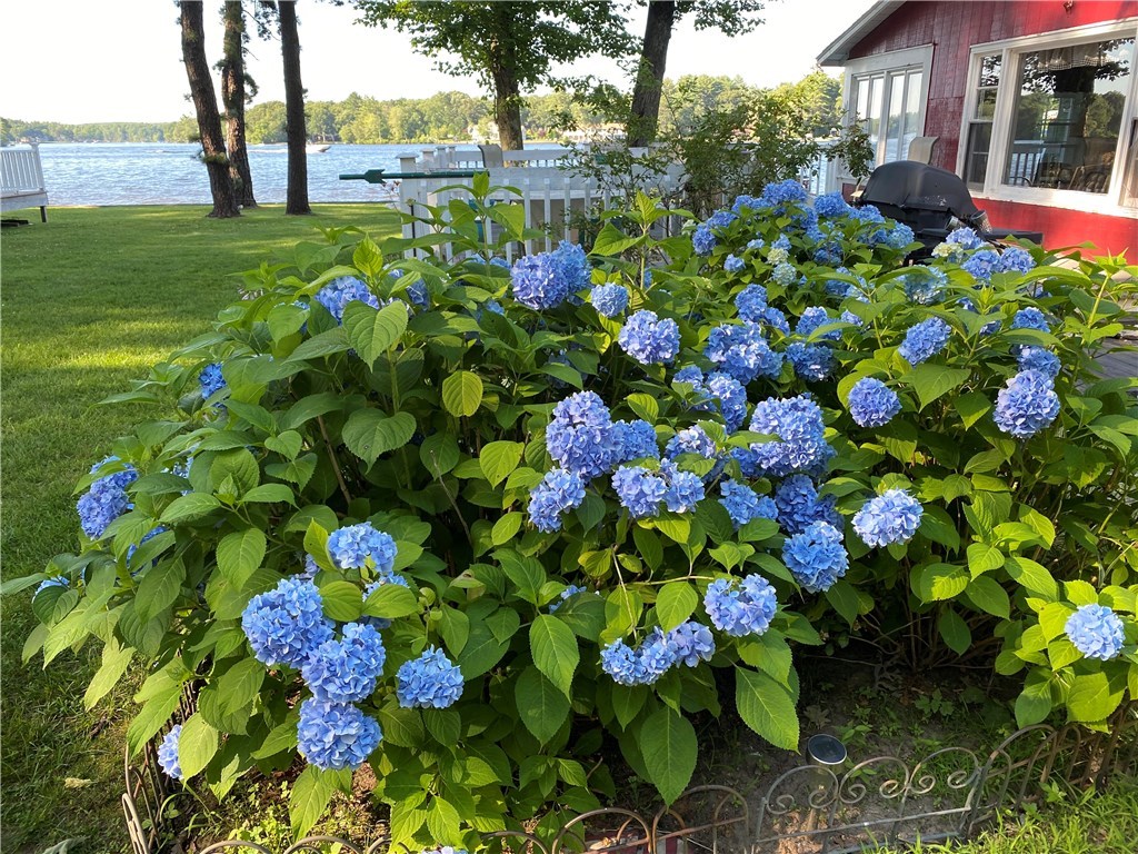 22 Hill Farm Camp Road, Unit 22 Coventry, RI 02816 - Photo 20 of 20 Gallery Image 20