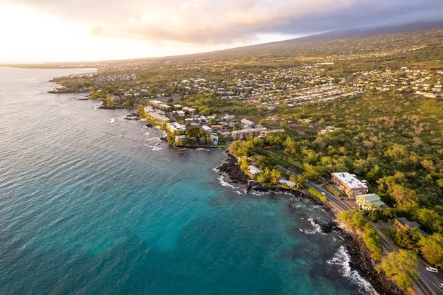 an aerial view of residential houses with outdoor space and trees