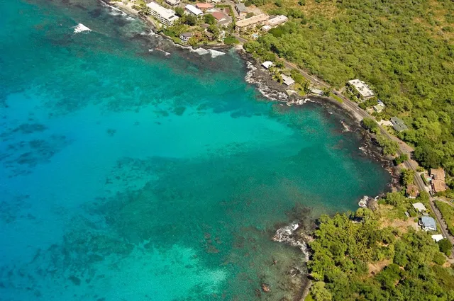 a view of a lush green space