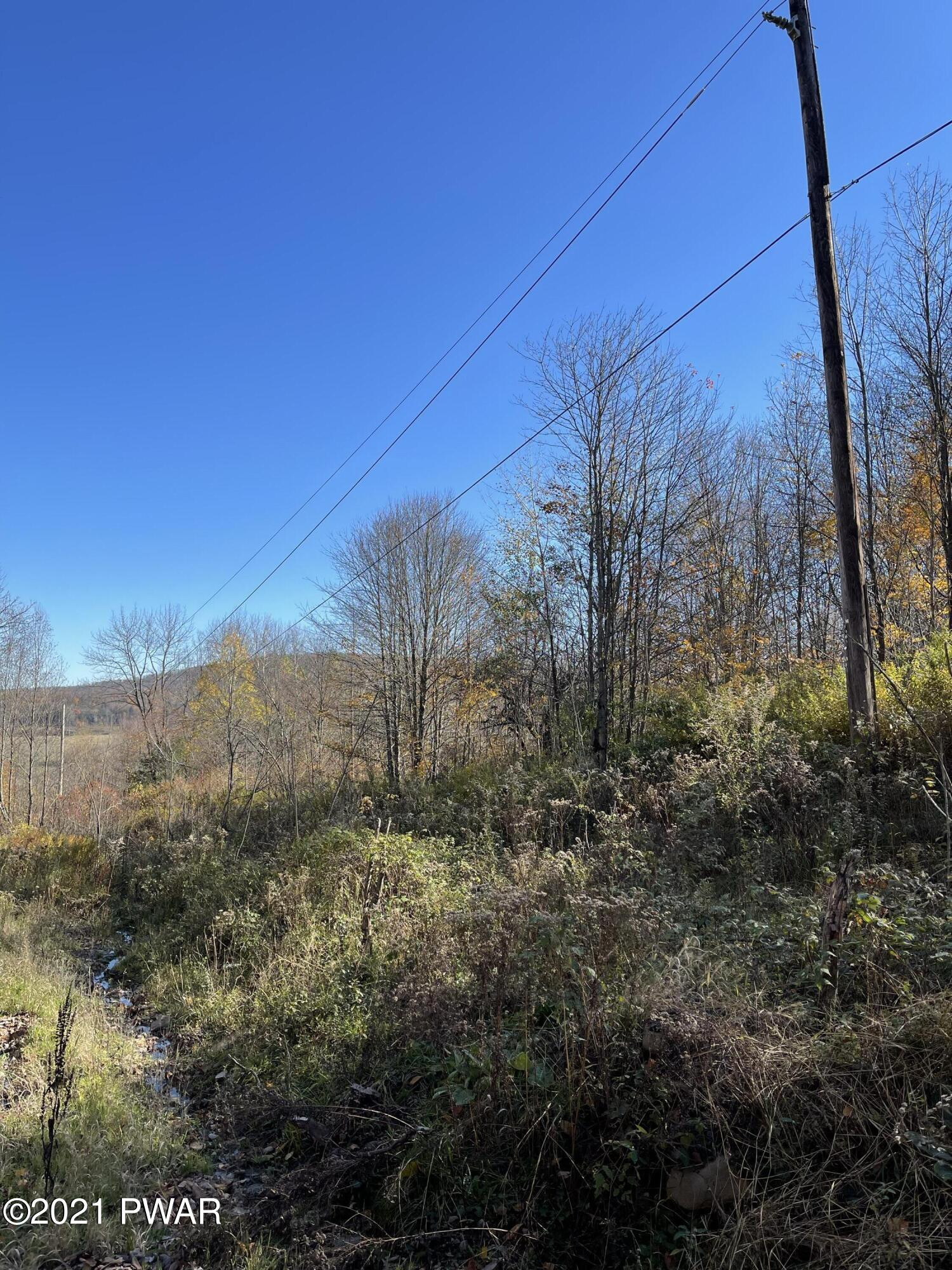 5-acres Welk Road Equinunk, PA 18417 - Photo 3 of 4