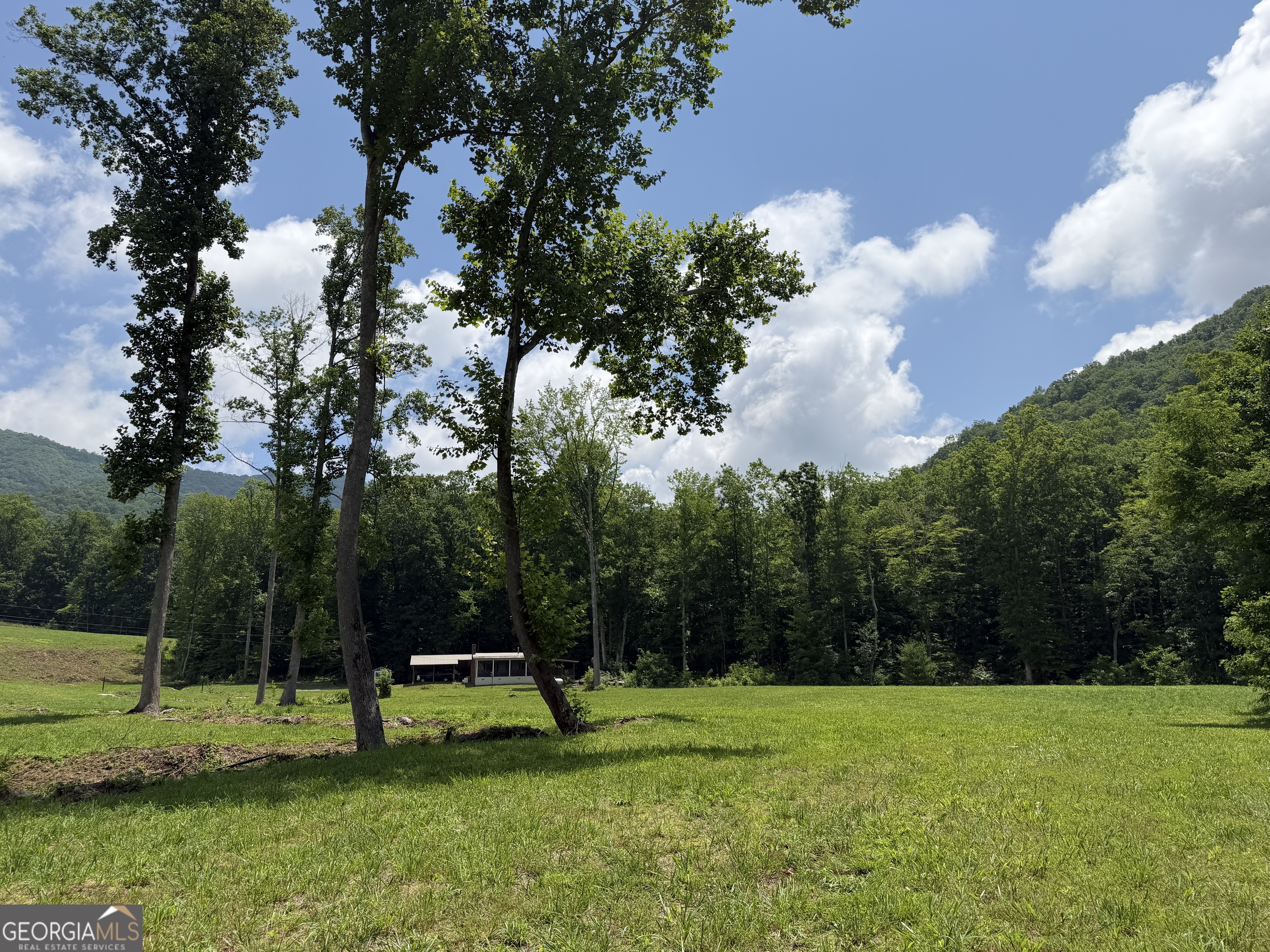 1449 Muskrat Creek Road Hayesville, NC 28904 - Photo 55 of 95
