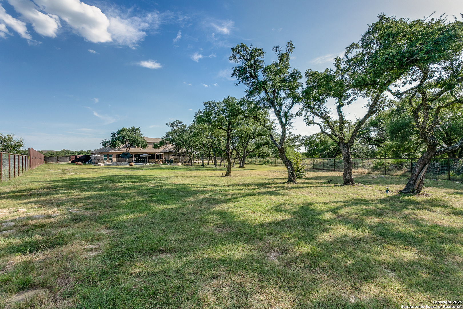 1118 Springfield Drive Spring Branch, TX 78070 - Photo 5 of 31 a view of a tree in a yard