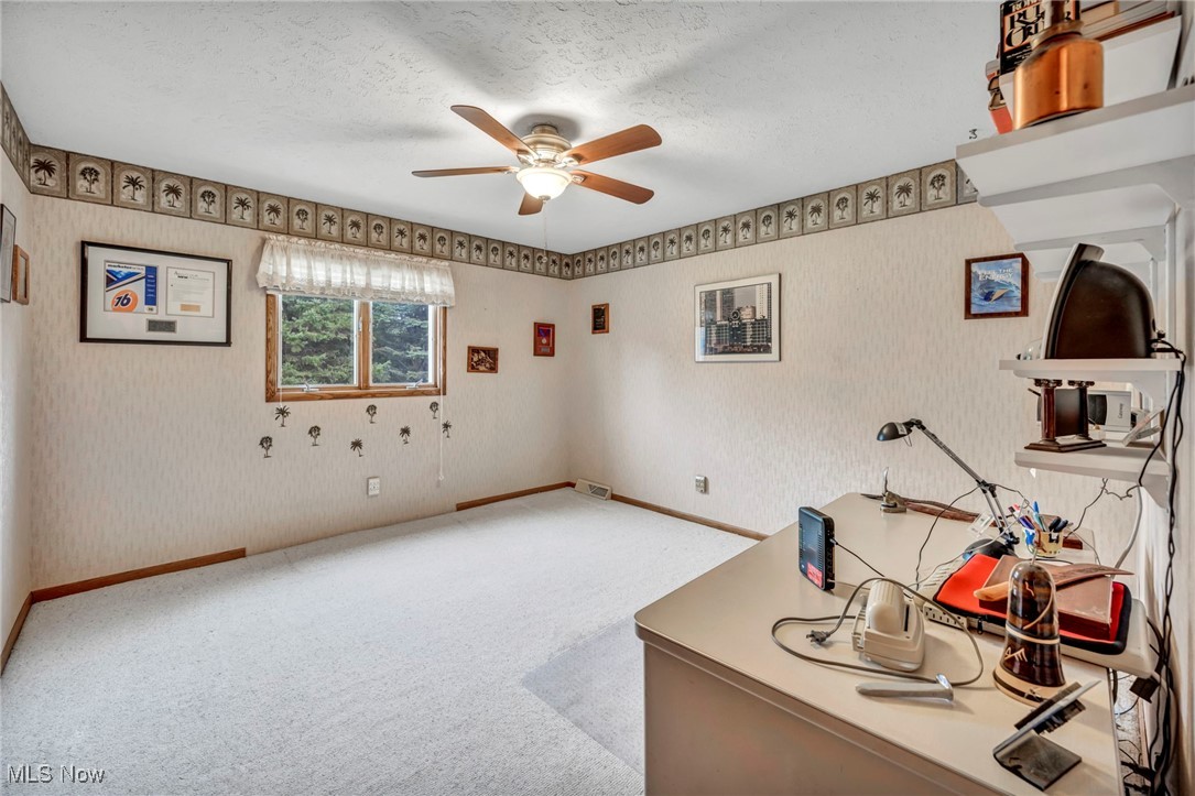9184 Zimmerman Road Homerville, OH 44235 - Photo 18 of 50 Office area featuring a textured ceiling, carpet, and ceiling fan