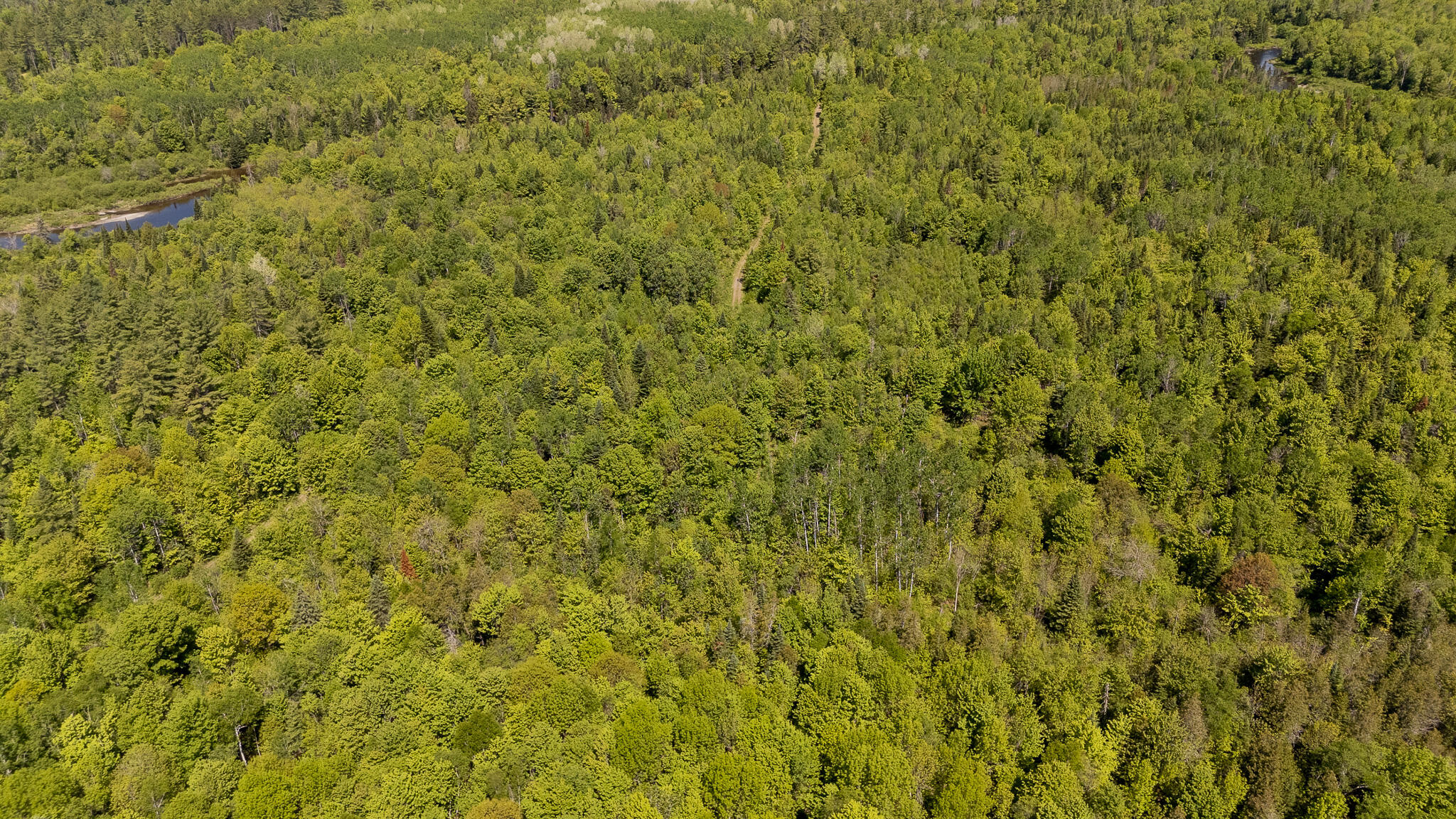 131 Gales Road Abbot, ME 04406 - Photo 125 of 128 DJI_20260603104445_0543_D