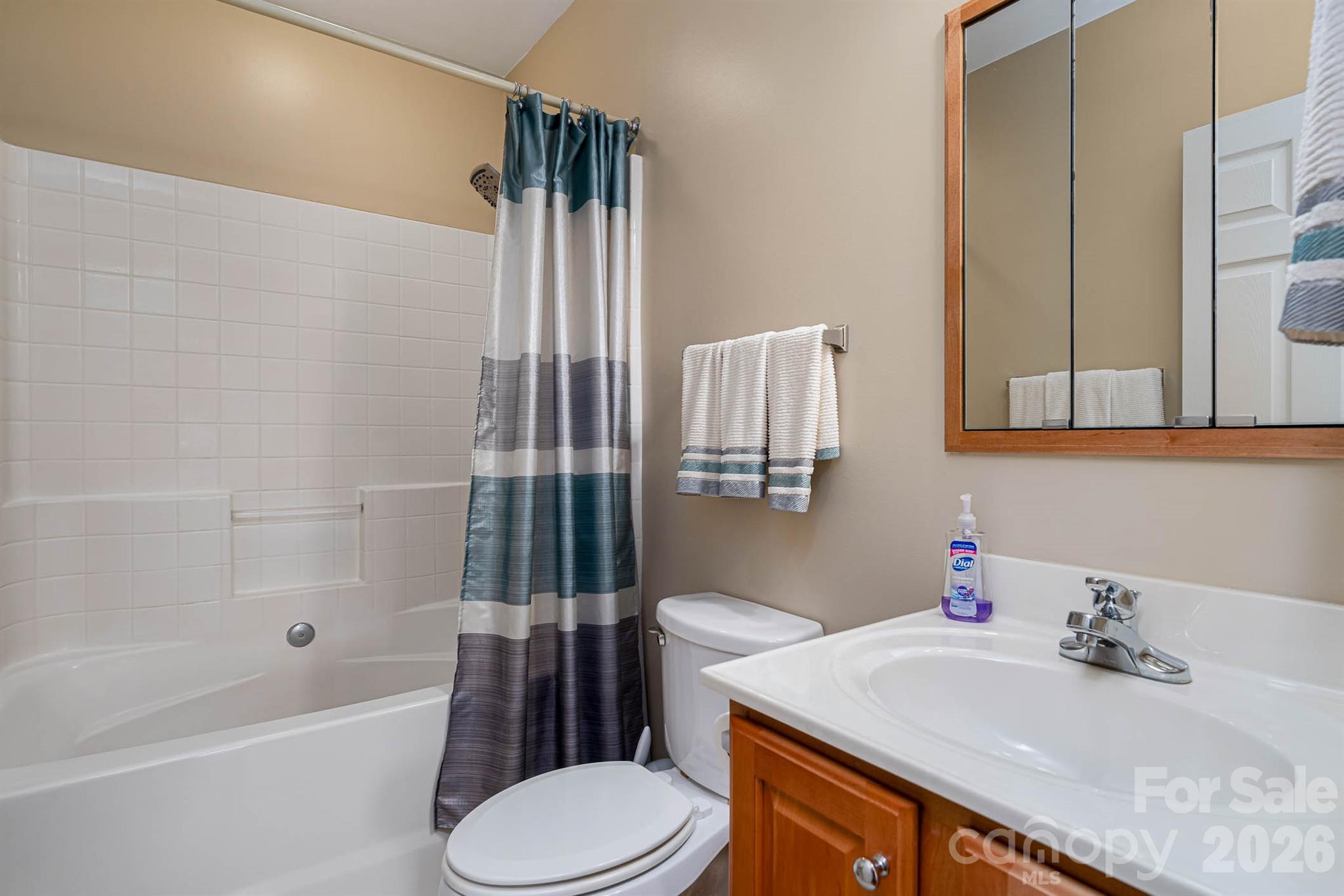 1697 Windswept Ridge Road Marshall, NC 28753 - Photo 18 of 48