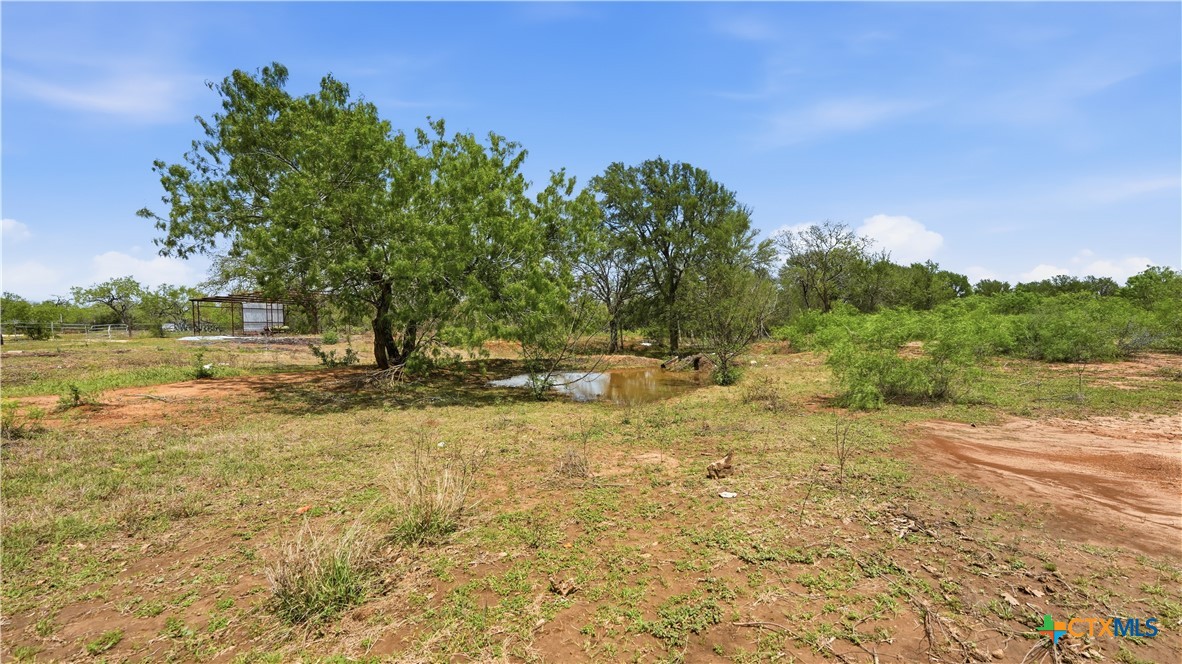 950 Highsmith Road Luling, TX 78648 - Photo 25 of 36 a view of a yard with a tree