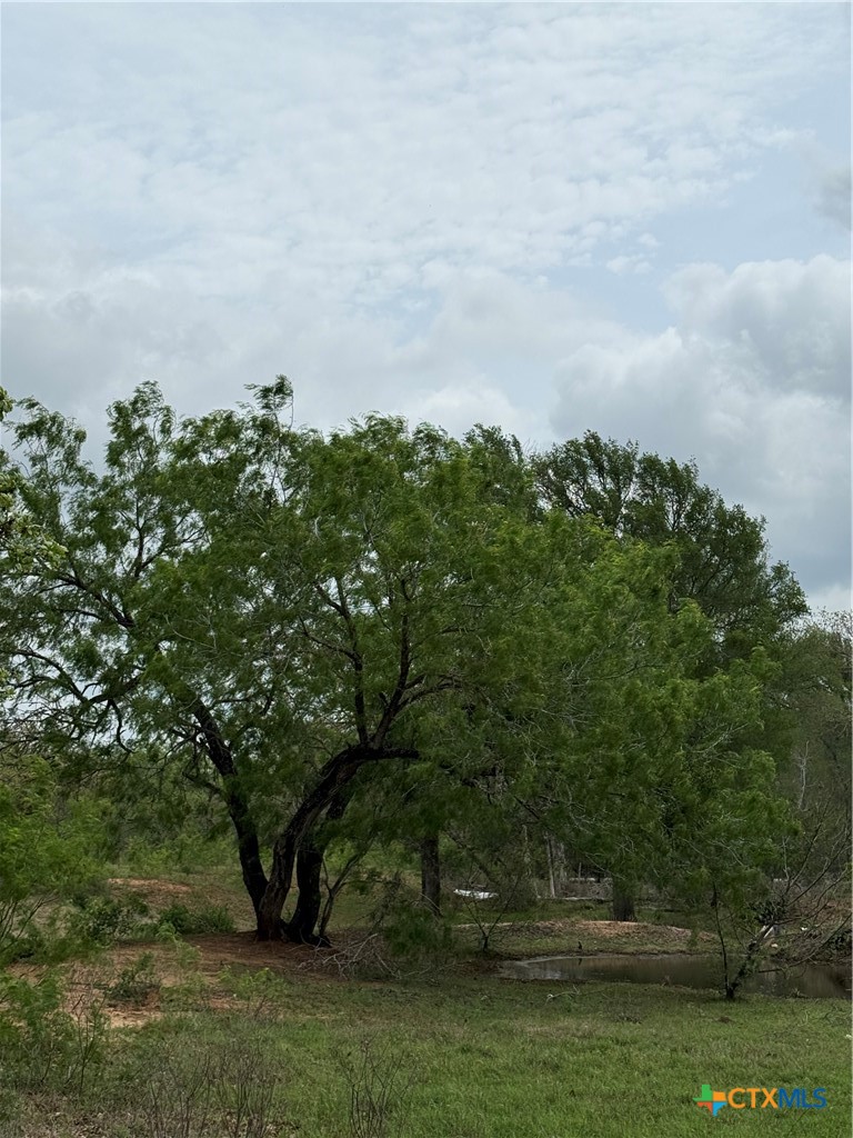 950 Highsmith Road Luling, TX 78648 - Photo 28 of 36