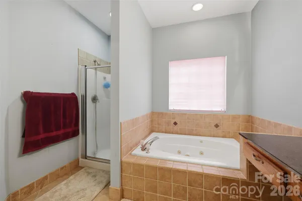 a bathroom with a tub a sink and a shower