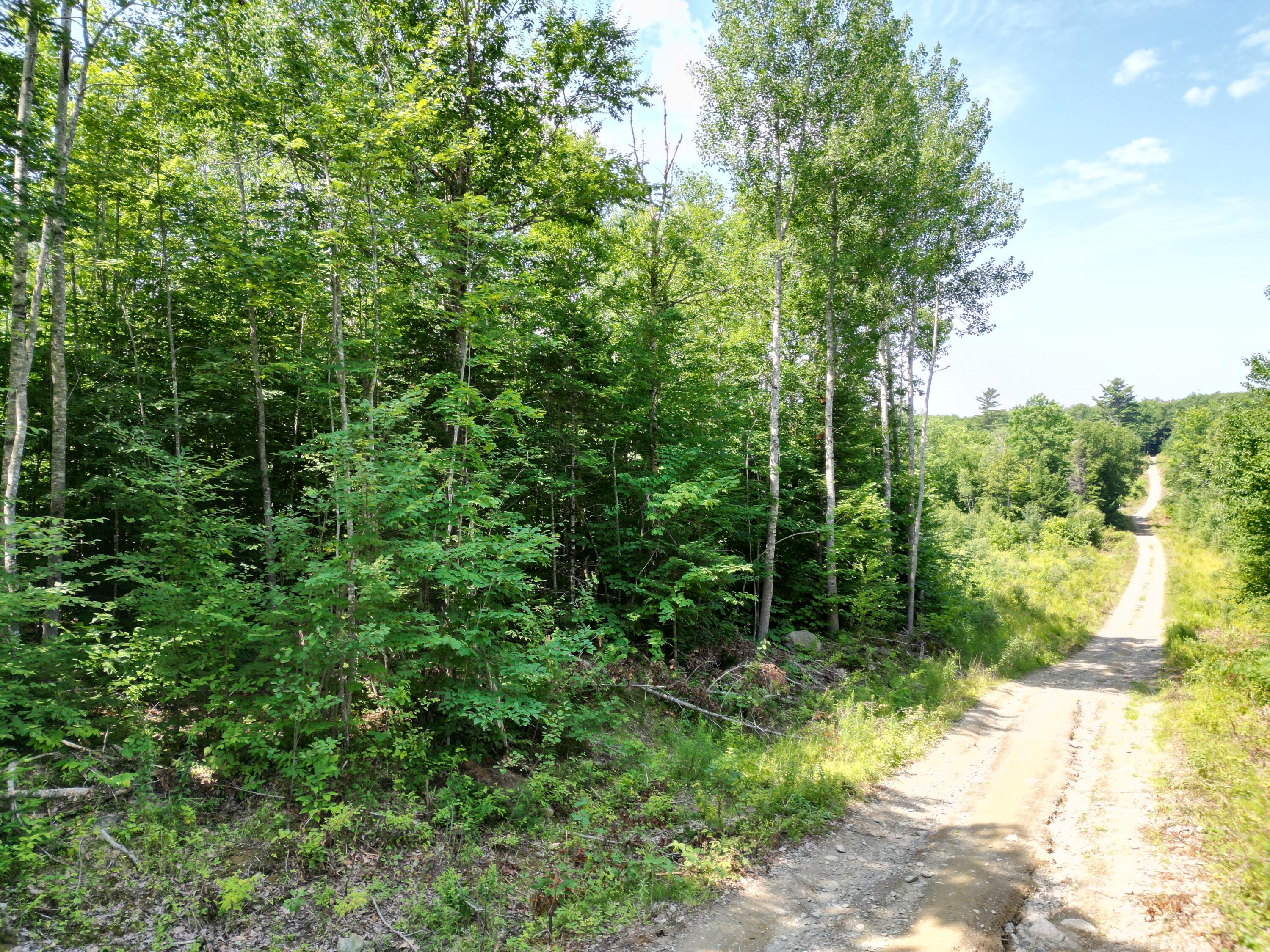 Lot 5 Moores Road Springfield, ME 04487 - Photo 8 of 18 DJI_0958