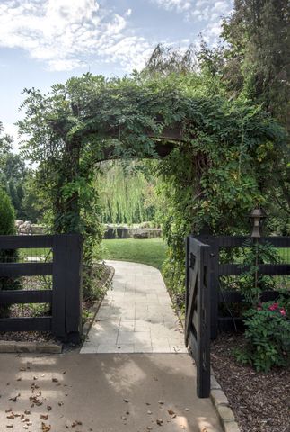 a view of a park with large trees
