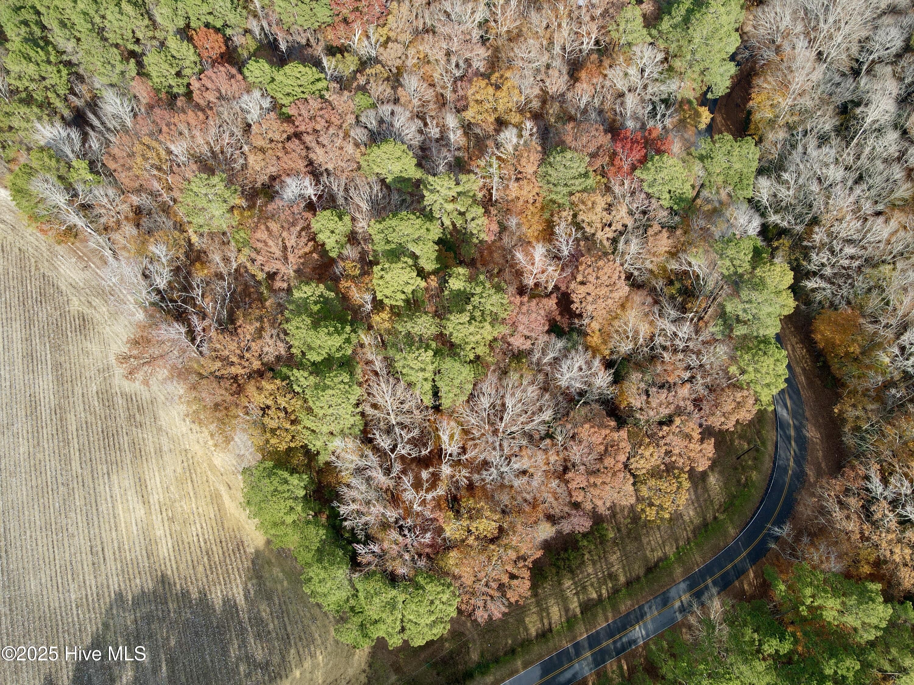 0 Williams Road Williamston, NC 27892 - Photo 1 of 16 Aerial View of property
