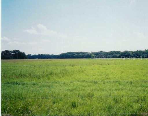301 Highway 301 Bushnell, FL 33513 - Photo 1 of 1 a view of a lake view