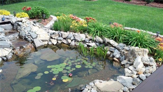 1228 White Rock Road Spring Hill, TN 37174 - Photo 18 of 20 Koi pond
