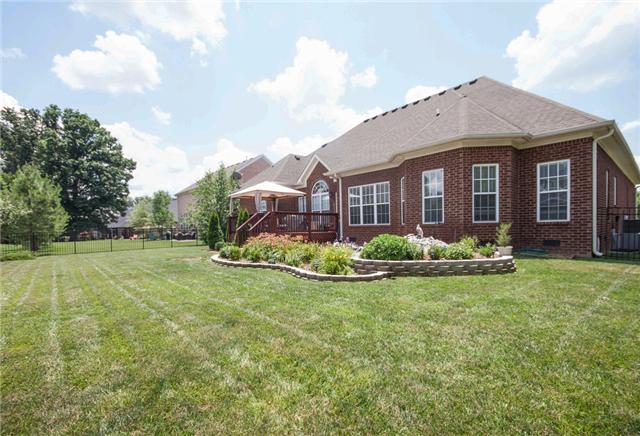 1228 White Rock Road Spring Hill, TN 37174 - Photo 19 of 20 Room to play in fenced backyard