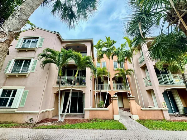 a view of a park with palm trees