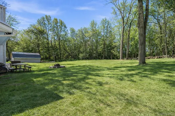 a view of a trees in a park
