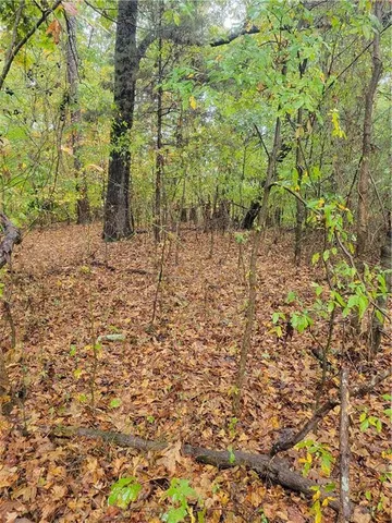 a view of a yard with plants and trees