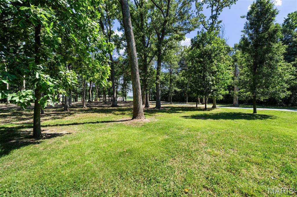 4243 Bushy Prairie Road Waterloo, IL 62298 - Photo 67 of 99