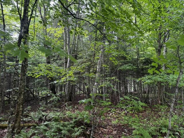 44 Dore Hill Road Athens, ME 04912 - Photo 4 of 5