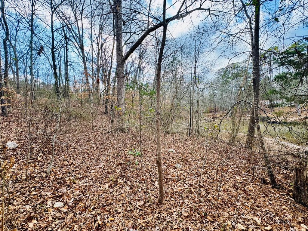 89 Lake Forest Drive Iva, SC 29655 - Photo 12 of 17