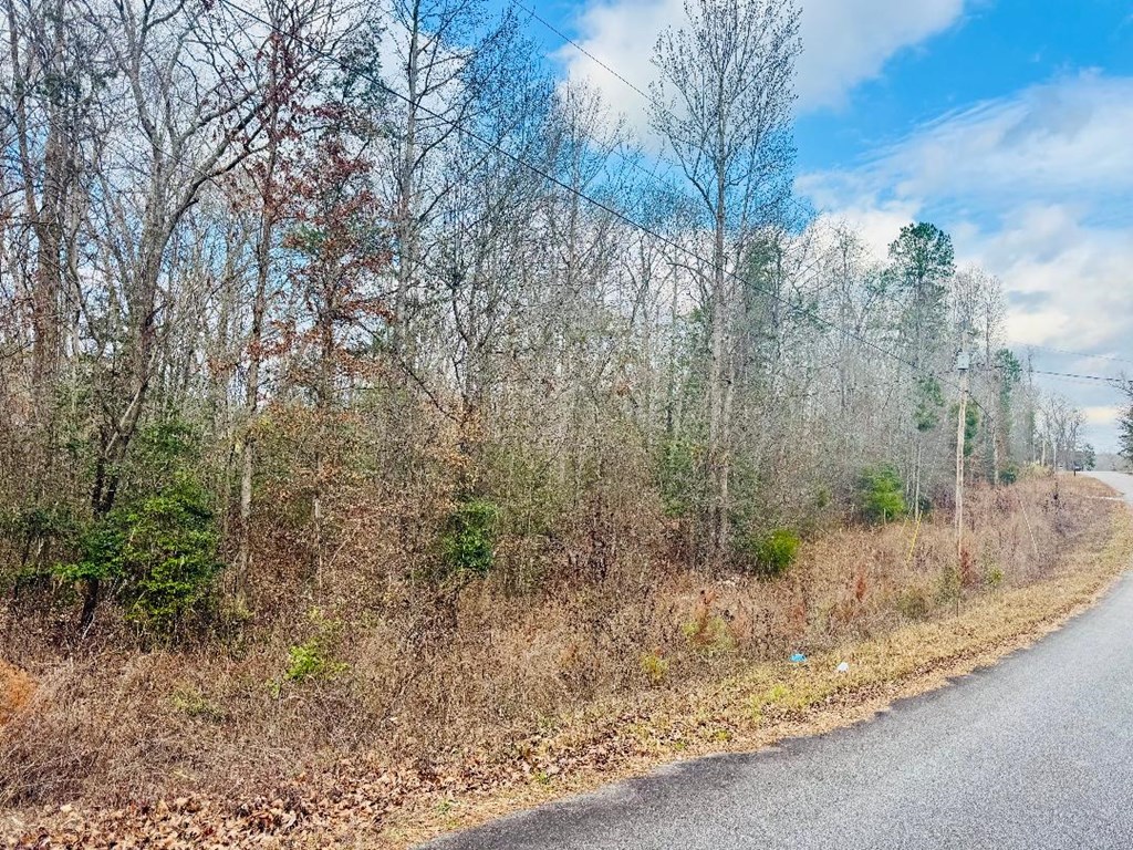 89 Lake Forest Drive Iva, SC 29655 - Photo 16 of 17