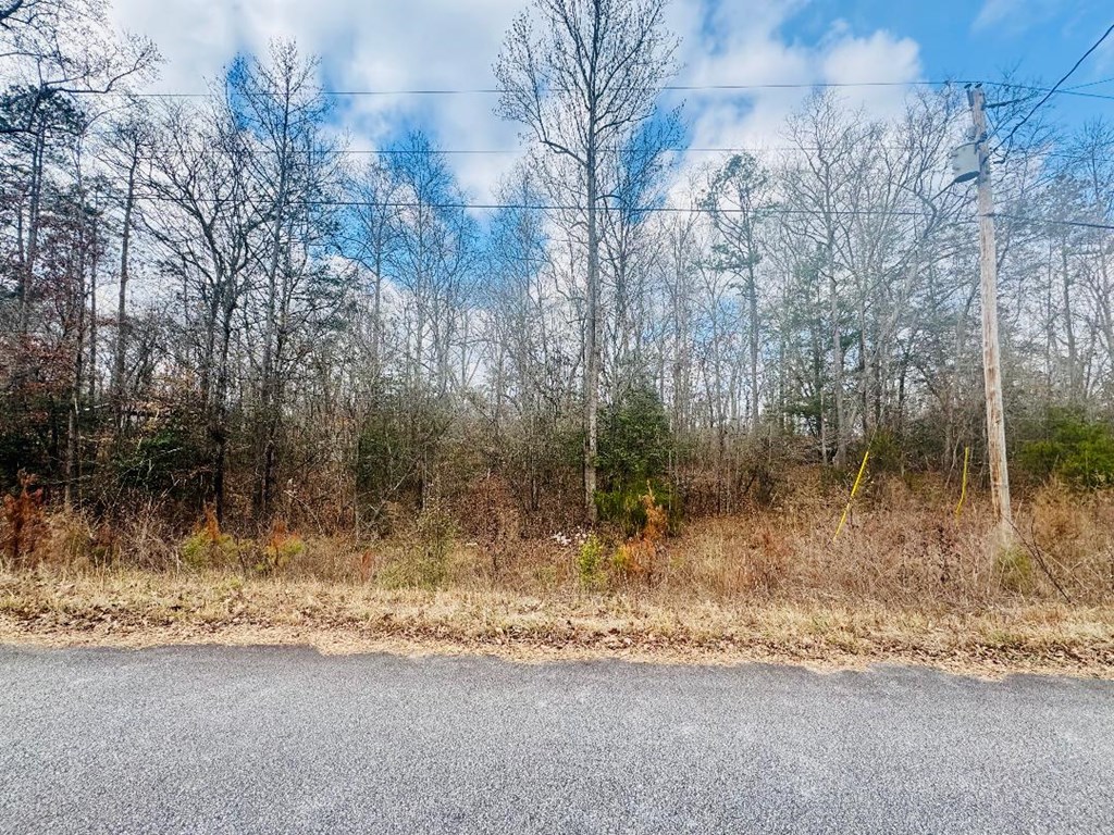 89 Lake Forest Drive Iva, SC 29655 - Photo 17 of 17