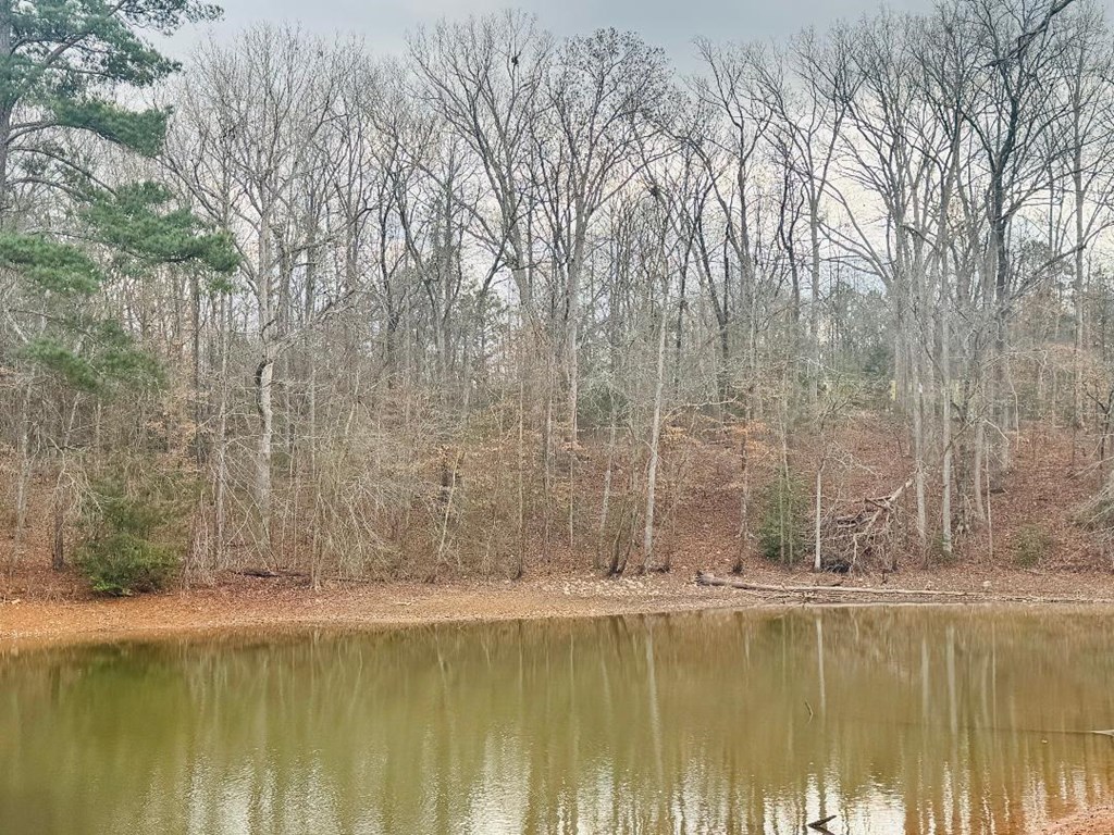 89 Lake Forest Drive Iva, SC 29655 - Photo 2 of 17