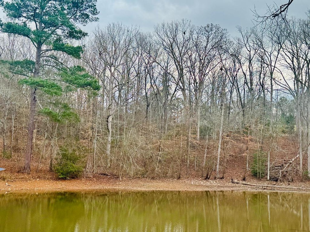 89 Lake Forest Drive Iva, SC 29655 - Photo 4 of 17
