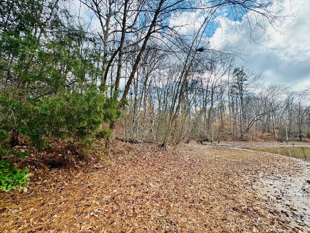89 Lake Forest Drive Iva, SC 29655 - Photo 6 of 17