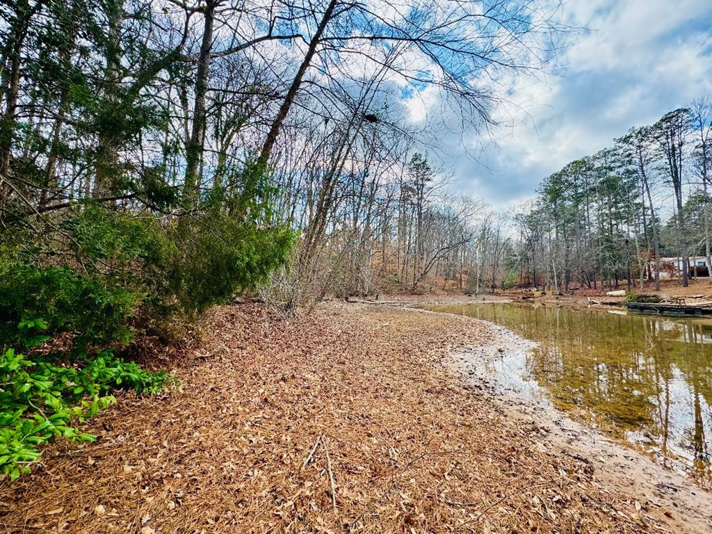 89 Lake Forest Drive Iva, SC 29655 - Photo 7 of 17