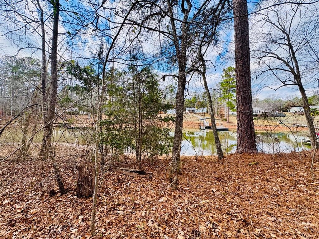 89 Lake Forest Drive Iva, SC 29655 - Photo 8 of 17