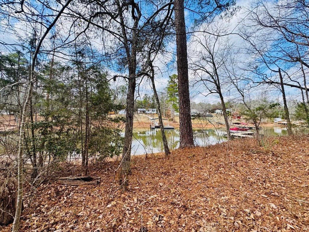 89 Lake Forest Drive Iva, SC 29655 - Photo 9 of 17