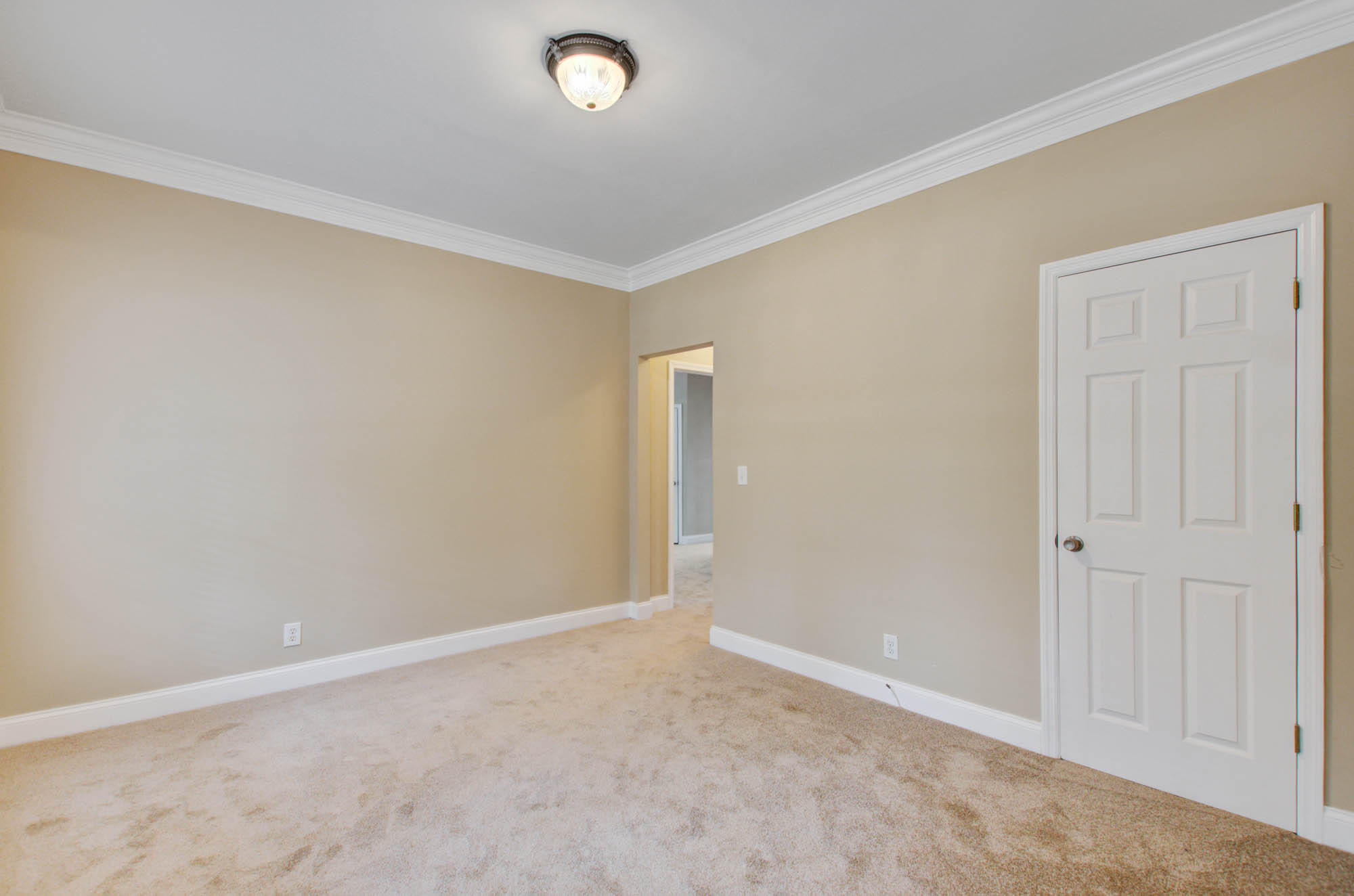 1314 Black Tom Road Moncks Corner, SC 29461 - Photo 22 of 35 Set25