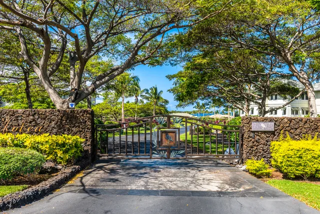 a view of a yard with plants and tree