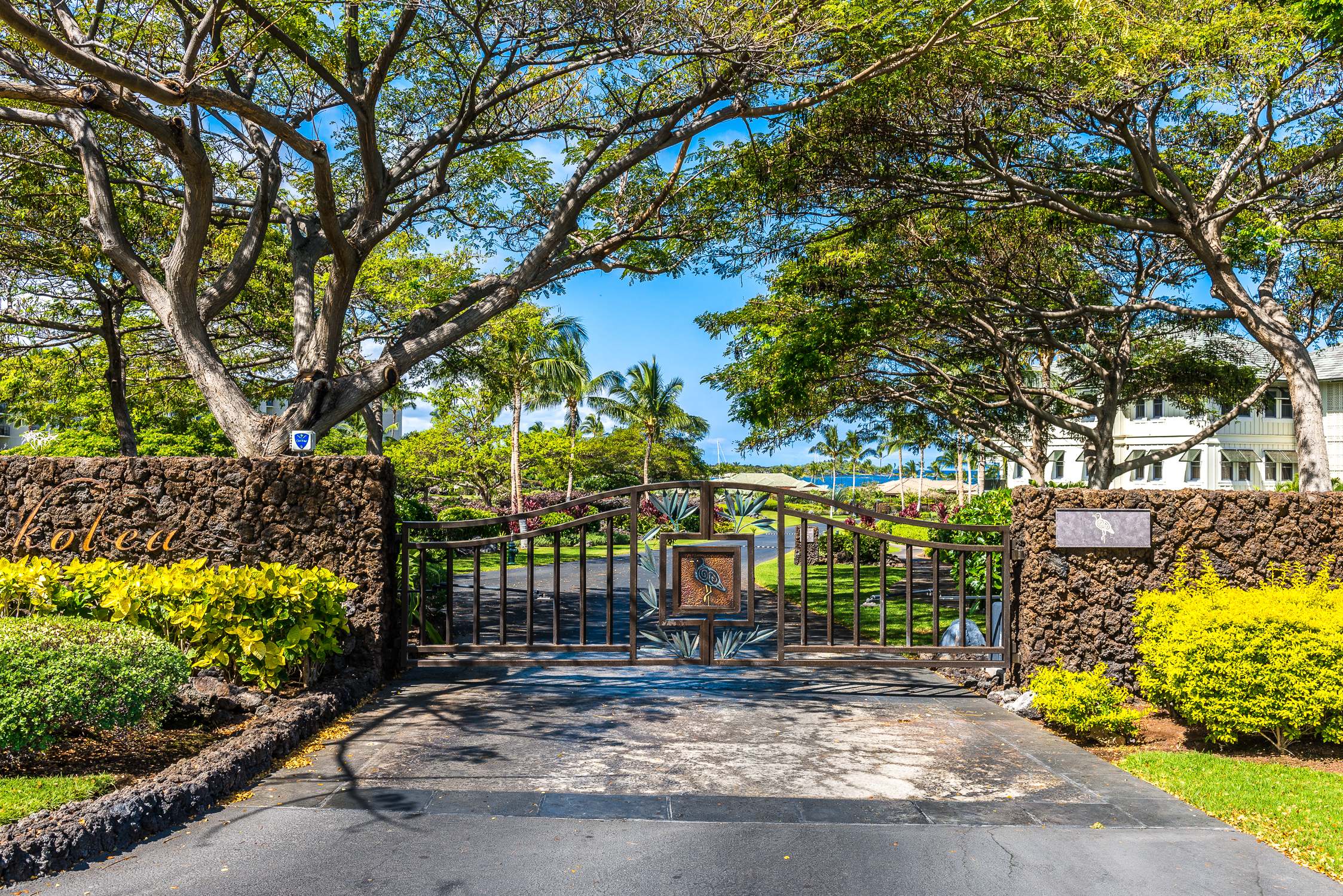69-1000 Kolea Kai Circle, Unit 9E Waikoloa, HI 96738 - Photo 23 of 27 a view of a yard with plants and tree